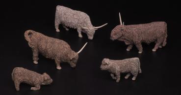 GEBO72255 Highlander Rinder Set 2